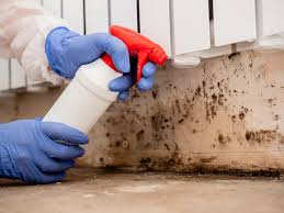 Mold Remediation for Vacation Homes in Mauldin, SC